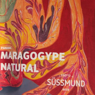 Maragogype by Suessmund